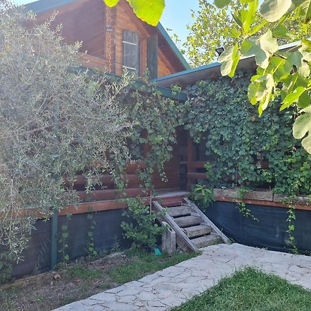 Holiday Home Kite House Ulcinj Bagian luar foto